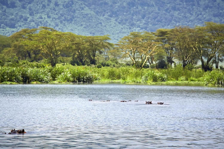 lake Naivasha