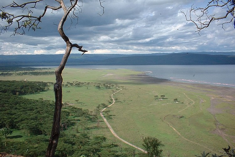 Lake Nakuru